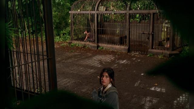 Чужак в чужой стране - 9 серия, 3 сезона, сериала Остаться в живых (2004)