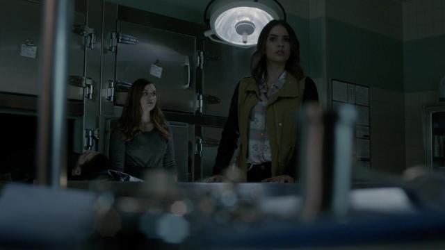 Genotype - 18 серия, 6 сезона, сериала Оборотень (2011)