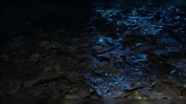 Autopsy - 9 серия, 2 сезона, сериала Засланец из космоса (2021)