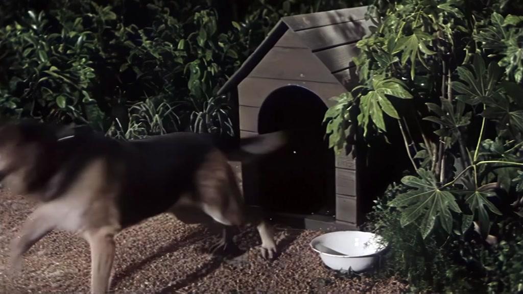 Фильм Летучая мышь (1962)