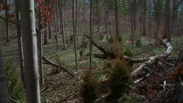 Кого ты хотел обмануть? - 21 серия, 4 сезона, сериала Элементарно (2012)