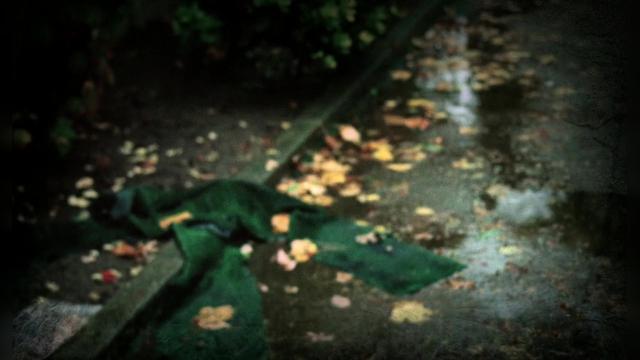 Выдающийся клиент - 11 серия, 3 сезона, сериала Элементарно (2012)