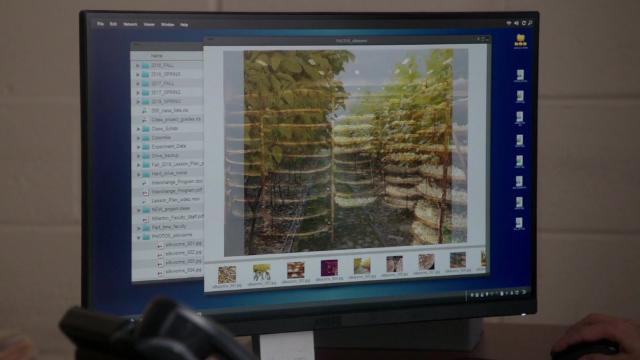 Черви приползут и в тебя заползут - 17 серия, 6 сезона, сериала Элементарно (2012)