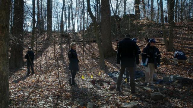 Мёртвый клоун и экологическая проблема - 12 серия, 5 сезона, сериала Элементарно (2012)