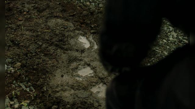 Blind Cannibal Assassins - 4 серия, 3 сезона, сериала В пустыне смерти (2015)