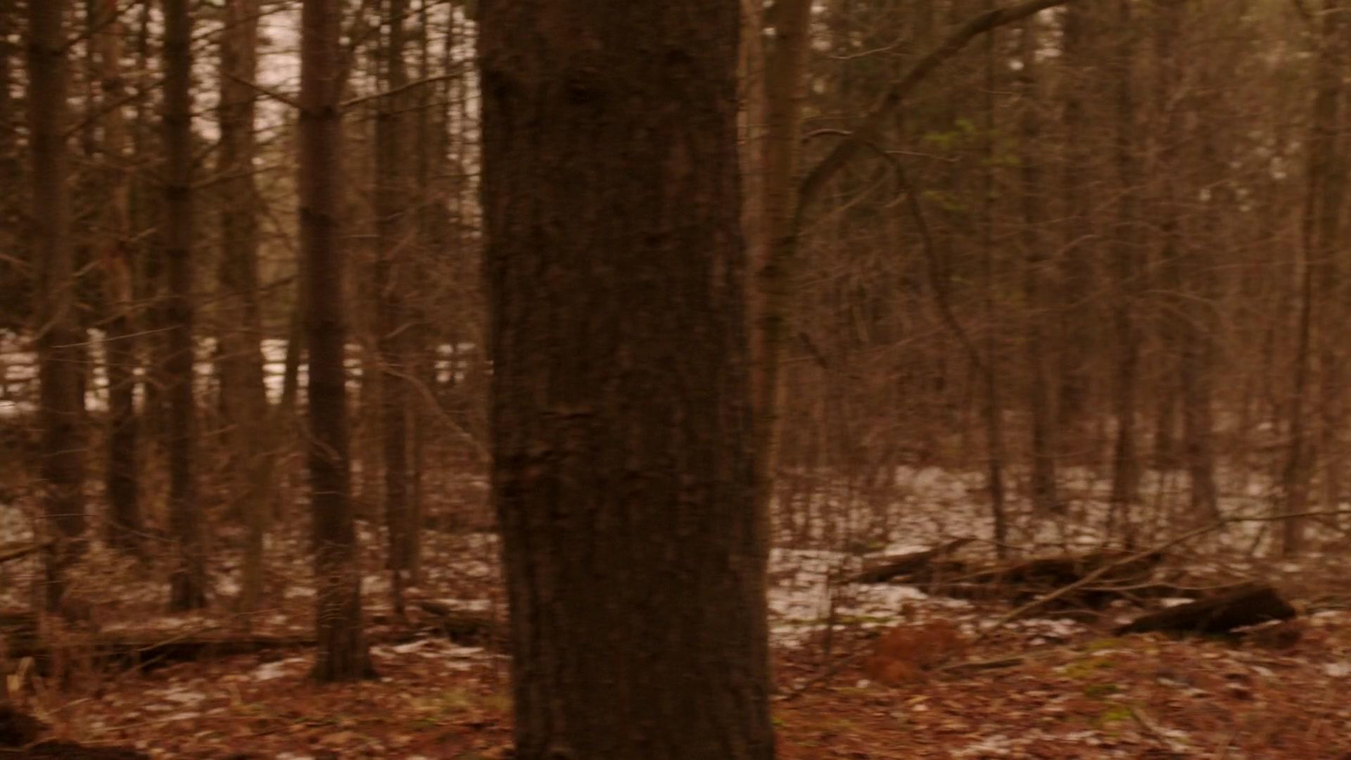 Сериал Чёрная материя (2015) 2 сезон 4 эпизод