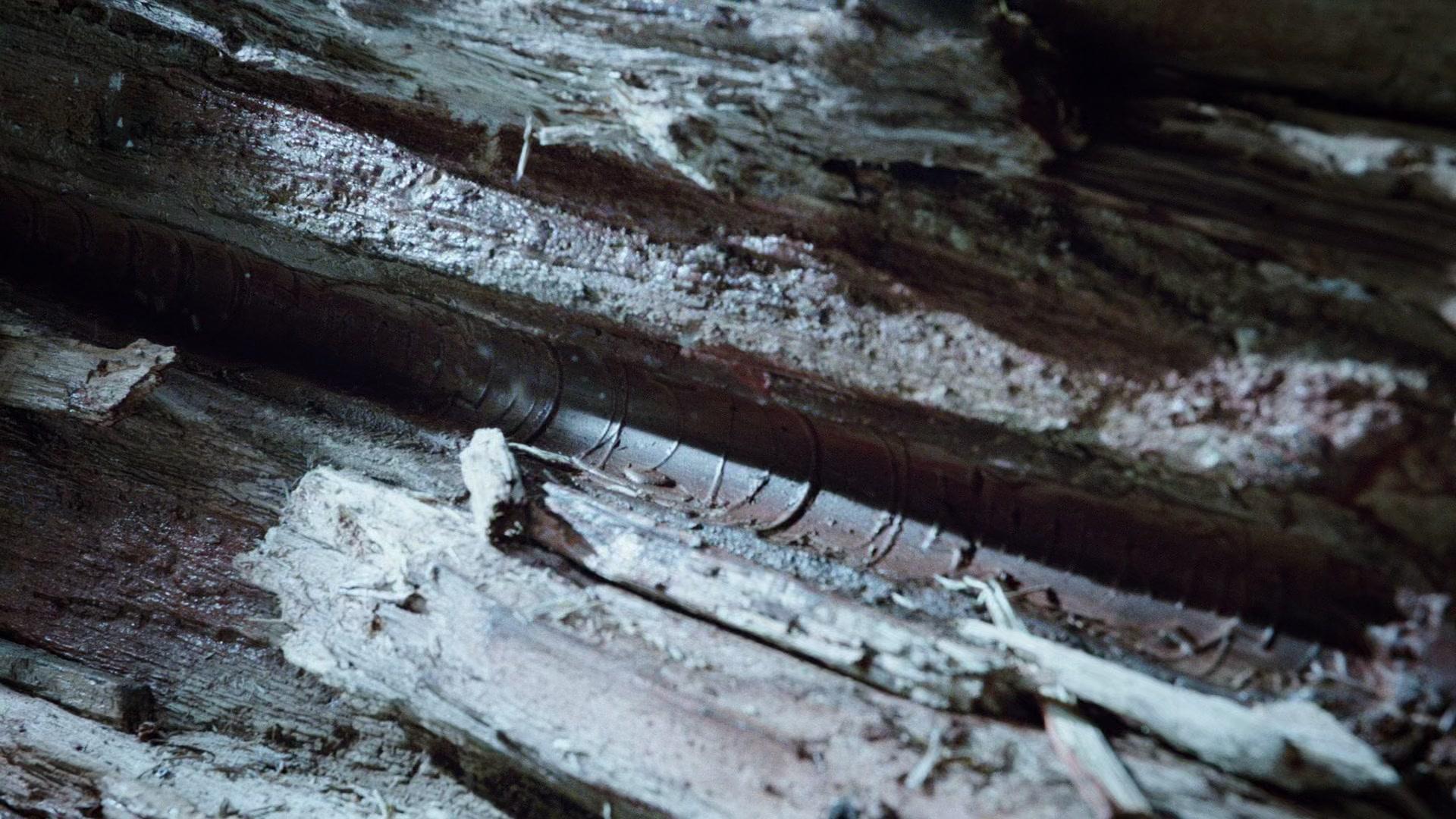 Сериал Агенты «Щ.И.Т.» (2013) 1 сезон 8 эпизод