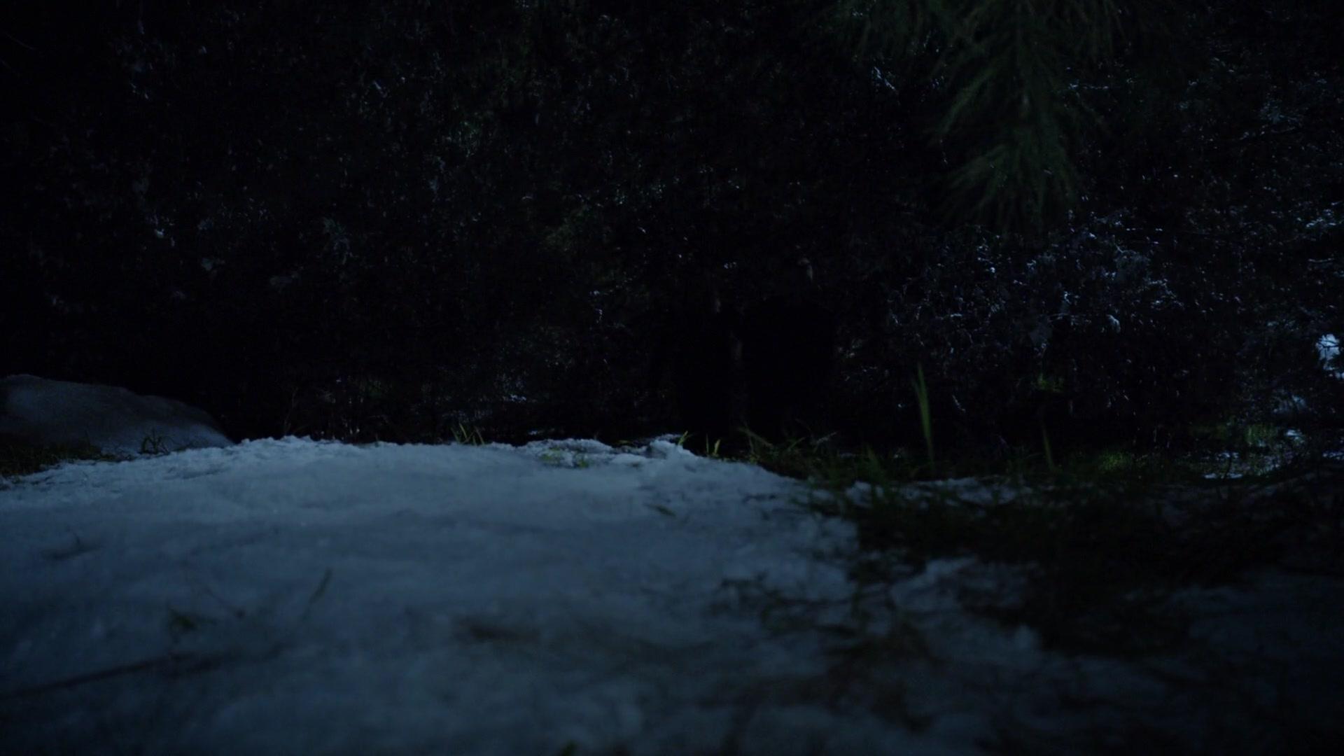 Сериал Агенты «Щ.И.Т.» (2013) 3 сезон 13 эпизод