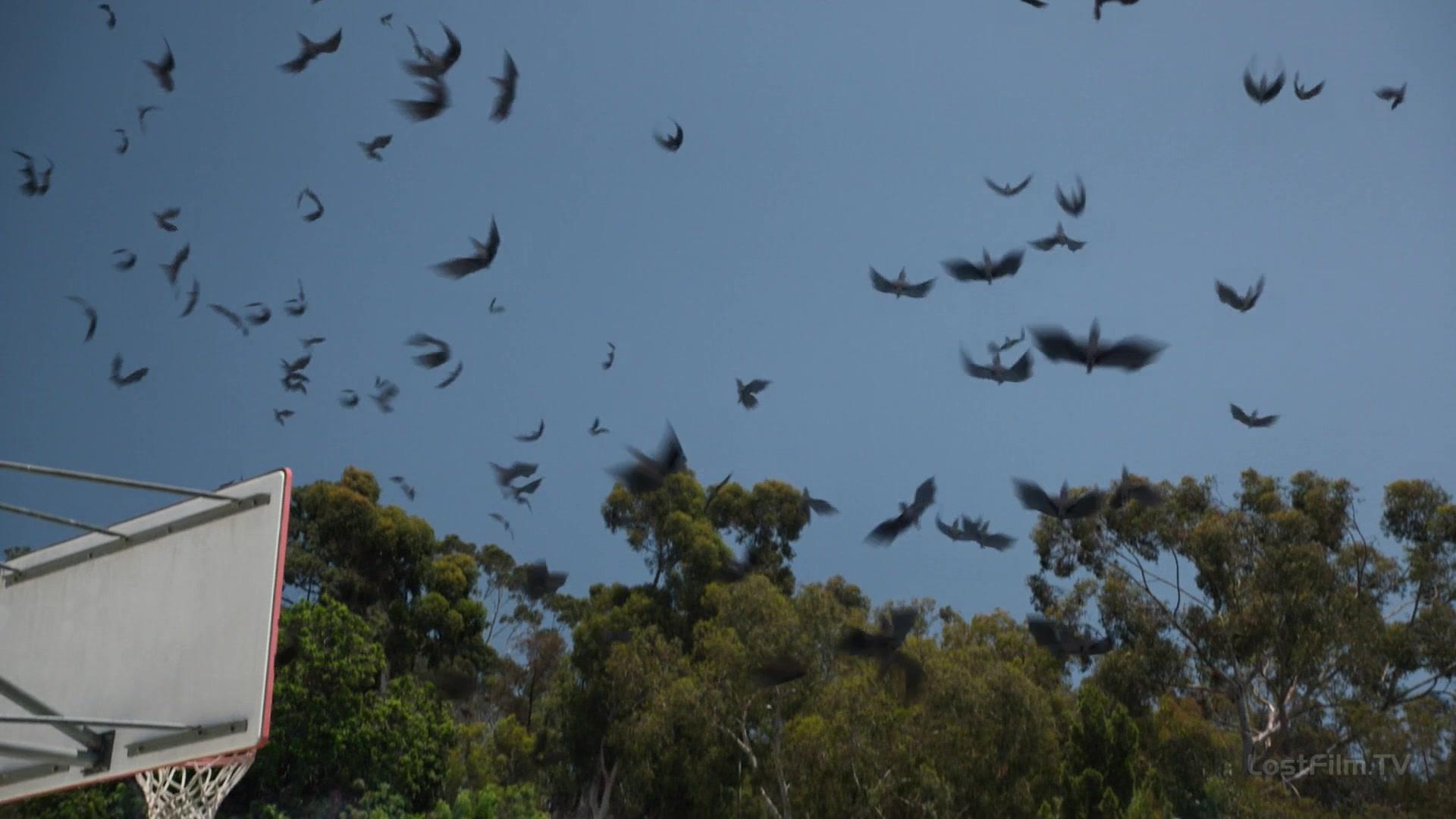 Сериал Агенты «Щ.И.Т.» (2013) 6 сезон 1 эпизод