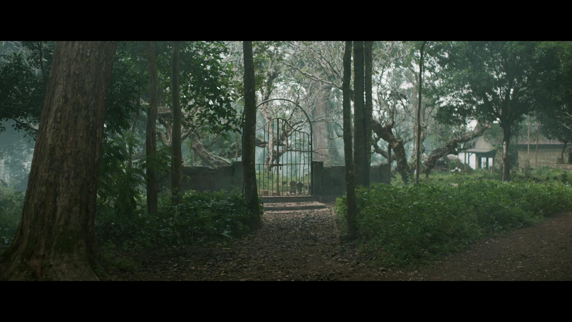 Фильм Ведьма. Деревня проклятых (2019)