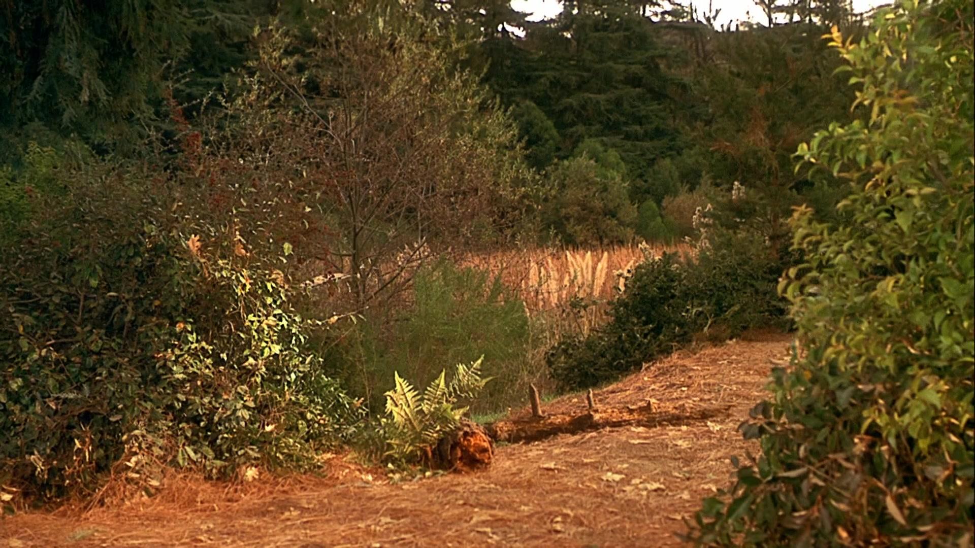 Фильм Доктор Дулиттл 2 (2001)