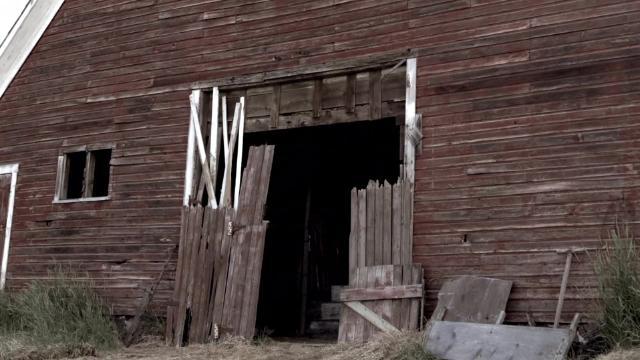 Зомбёнок - 5 серия, 2 сезона, сериала Нация Z (2014)