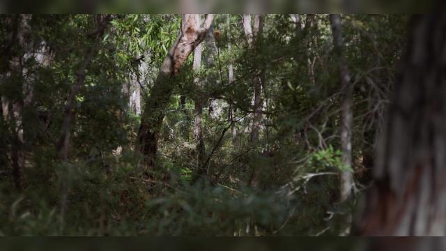 Watch Out for Snakes - 7 серия, 2 сезона, сериала Решала (2018)