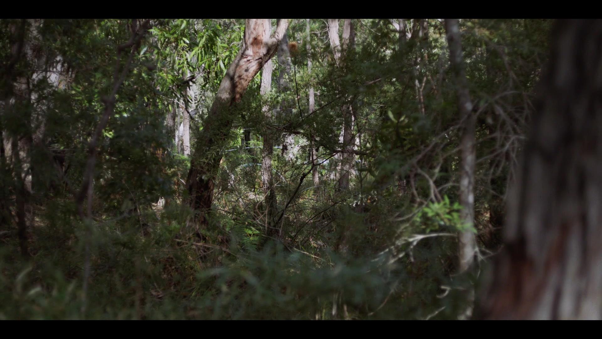 Сериал Решала (2018) 2 сезон 7 эпизод