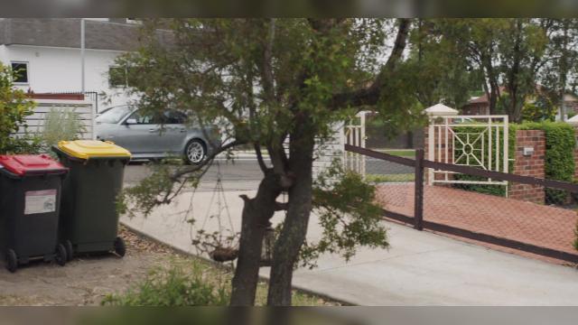 Cut the Crap Princess - 4 серия, 3 сезона, сериала Решала (2018)