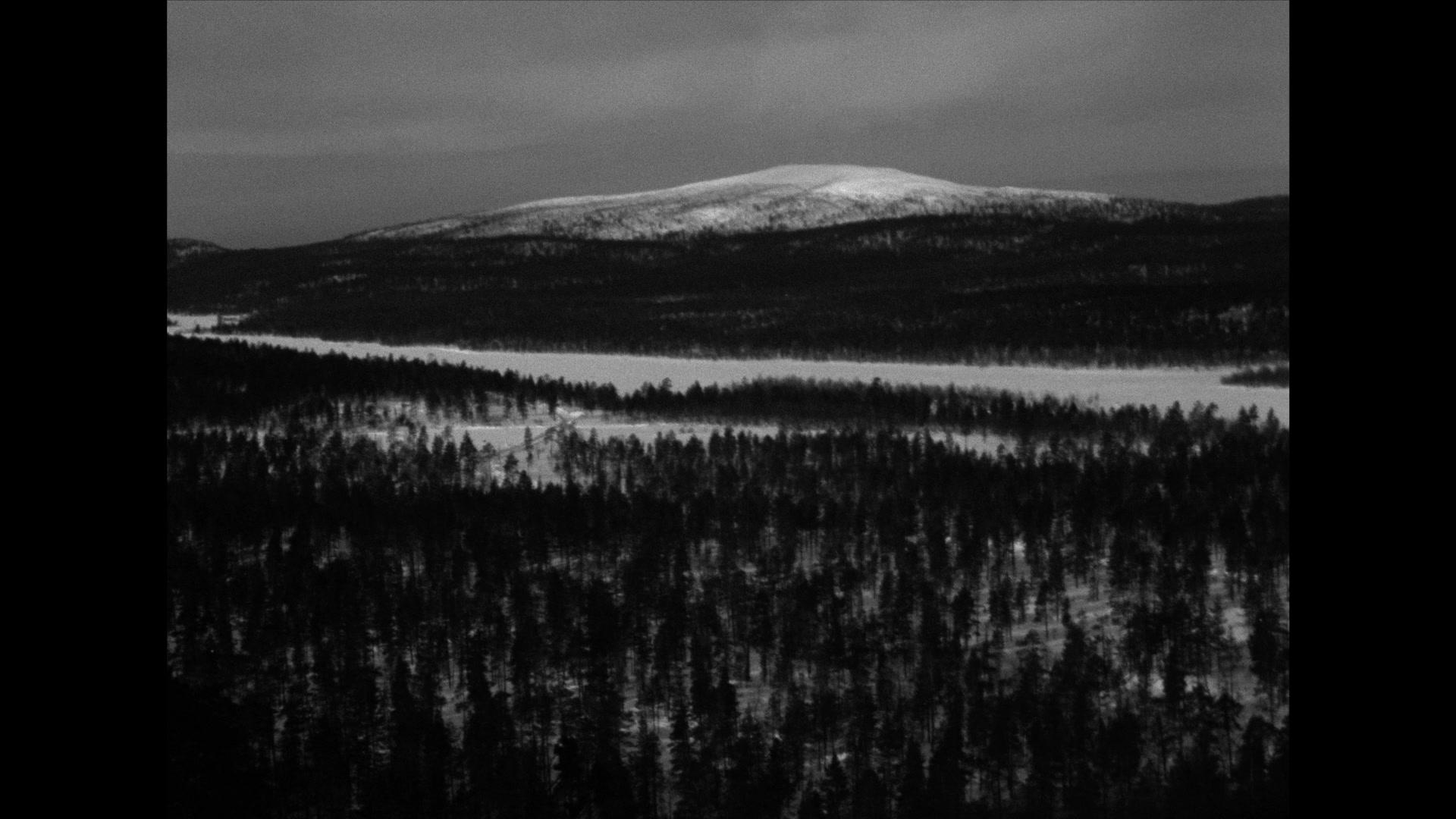 Фильм Белый олень (1952)