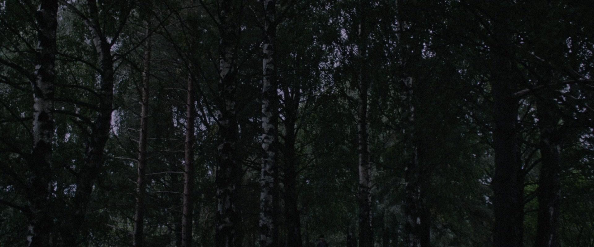 Фильм Блаженны мёртвые (2023)