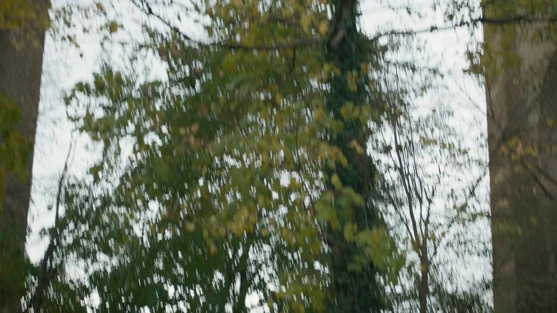 Сериал Зло (2019) 1 сезон 12 эпизод