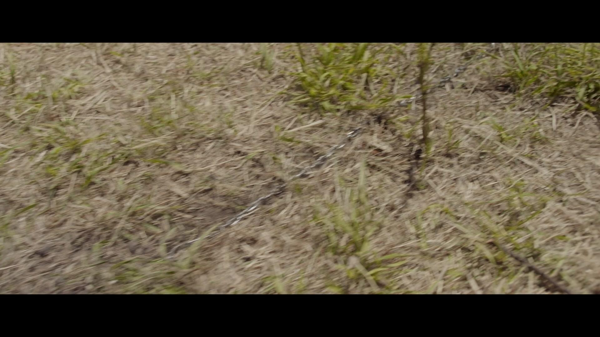 Фильм Мина начинает тикать (2015)