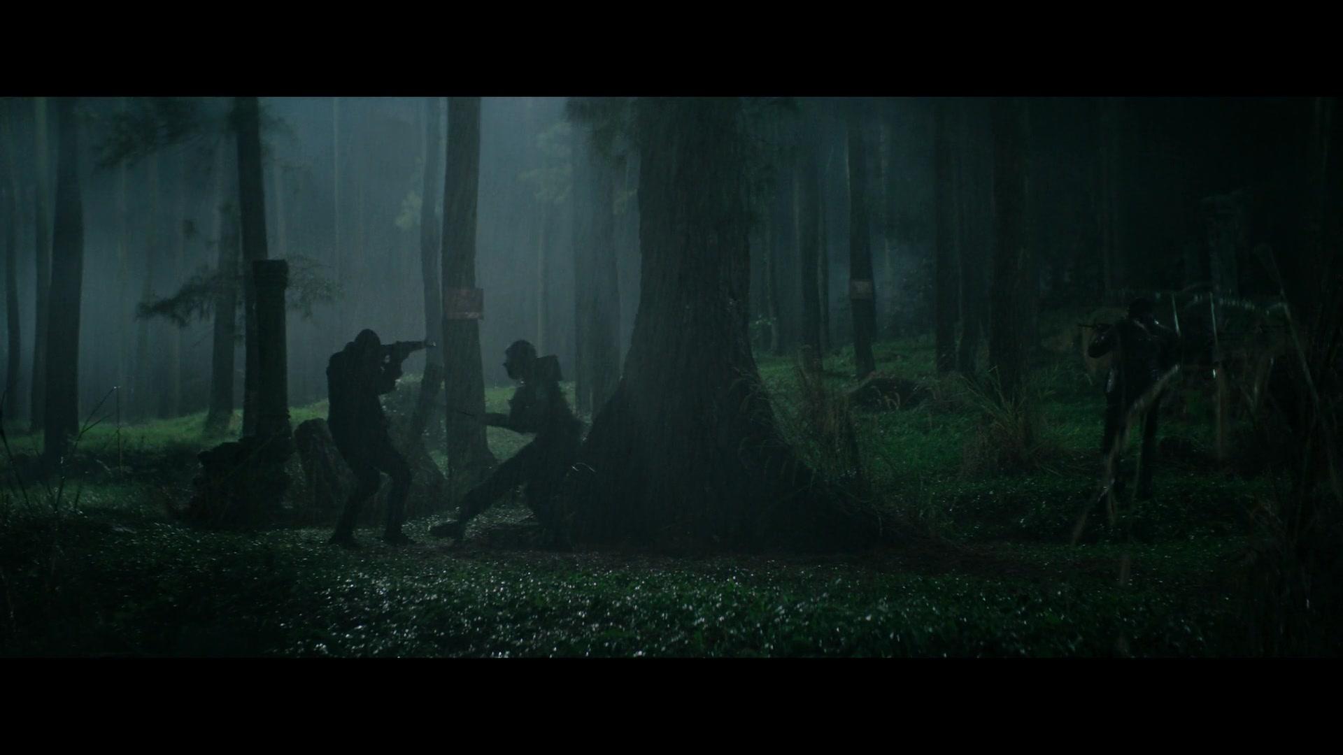 Фильм Блуждающая тень (2024)