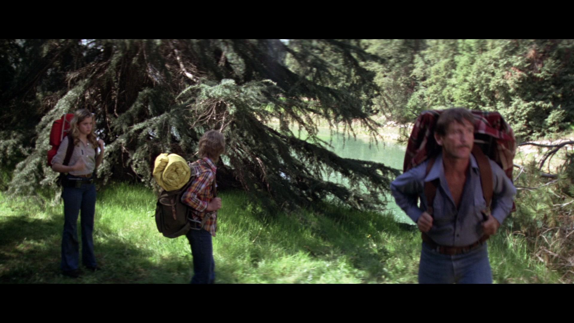 Фильм Пророчество (1979)