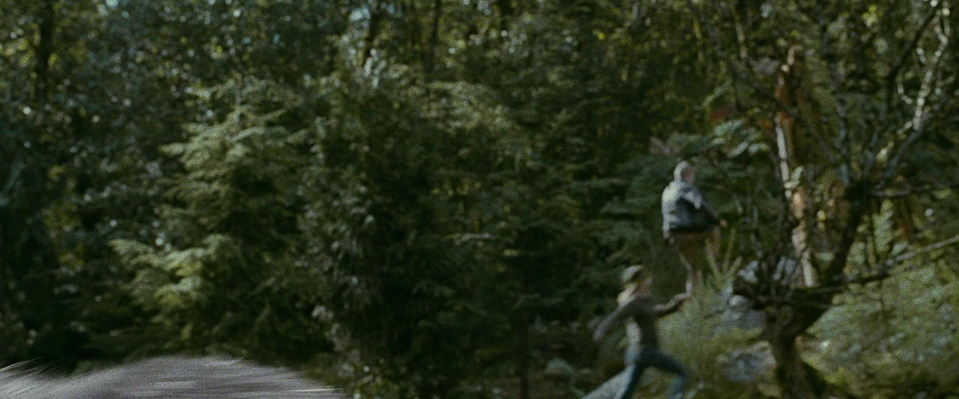 Фильм Сумерки. Сага. Затмение (2010)