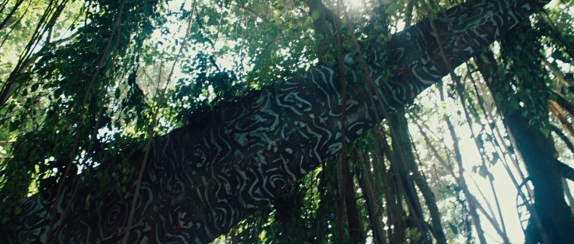 Фильм Хищники (2010)