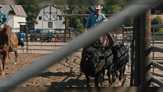 Держи волков поближе - 7 серия, 4 сезона, сериала Йеллоустоун (2018)