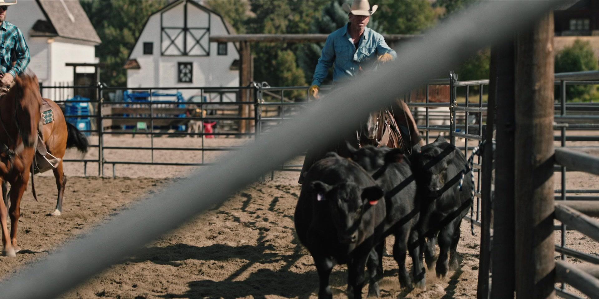 Сериал Йеллоустоун (2018) 4 сезон 7 эпизод