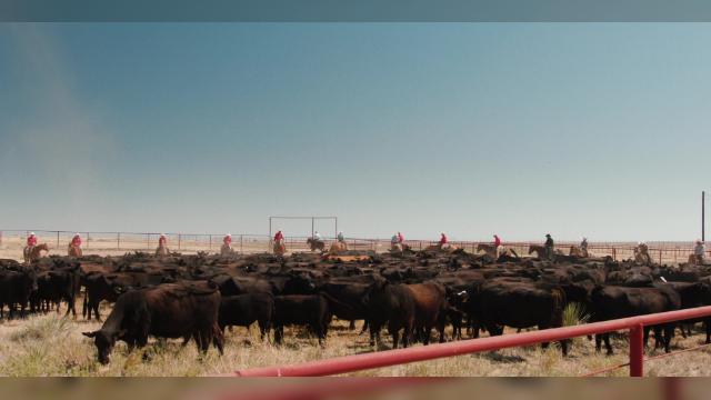 Desire Is All You Need - 9 серия, 5 сезона, сериала Йеллоустоун (2018)