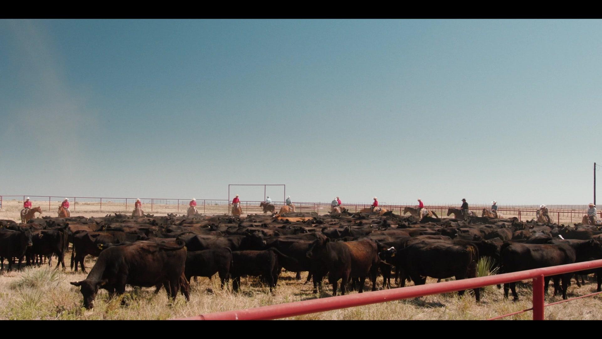 Сериал Йеллоустоун (2018) 5 сезон 9 эпизод