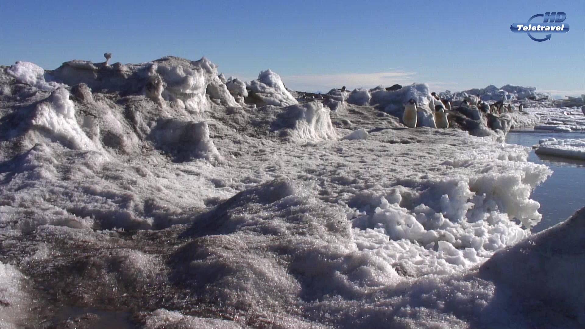 Фильм Антарктида: Год на льду (2013)