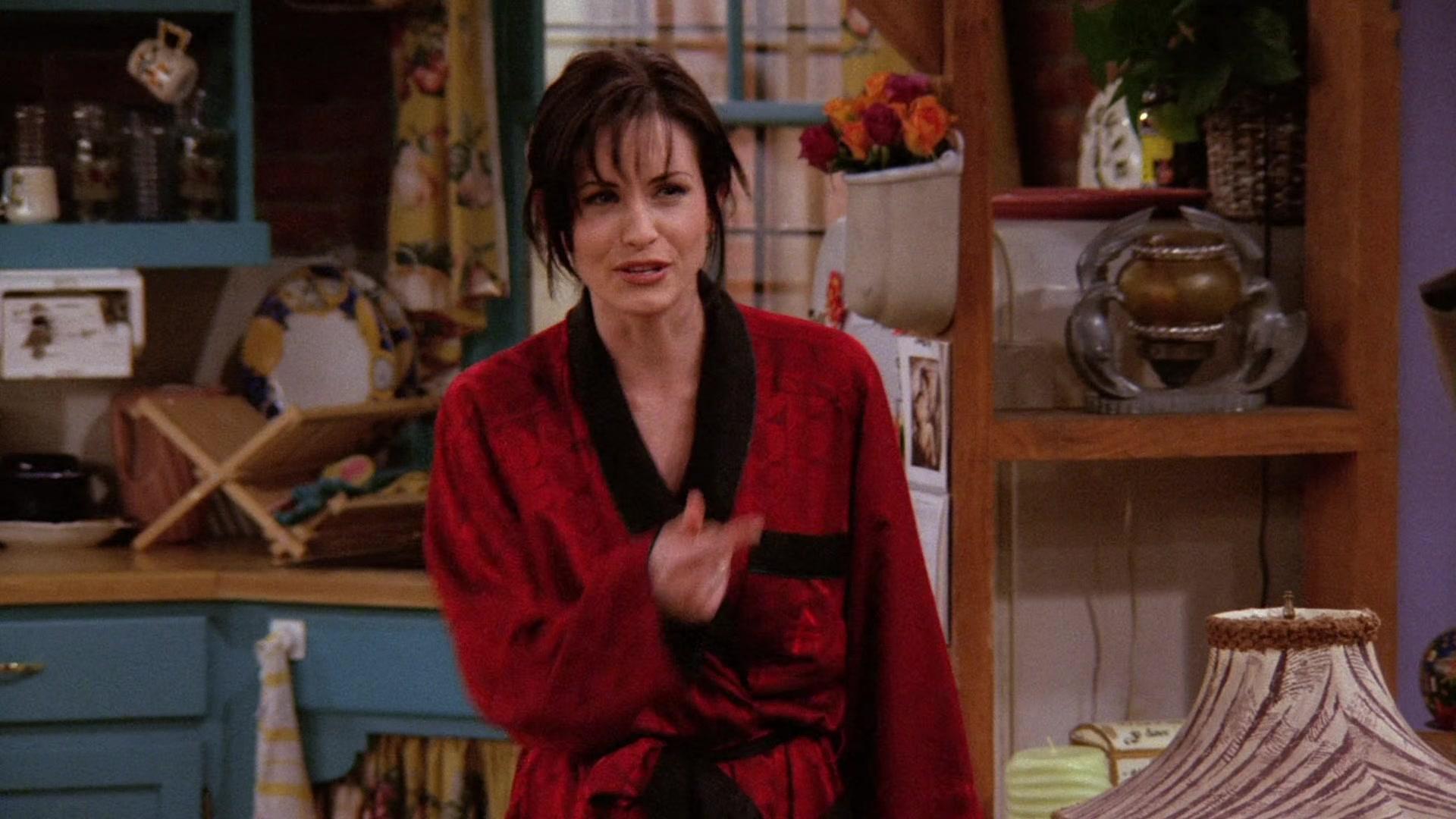 Сериал Друзья (1994) 2 сезон 17 эпизод