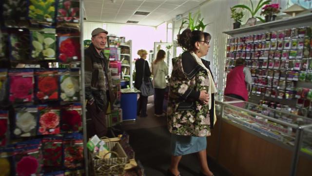 1 серия, 5 сезона, сериала Сваты (2008)