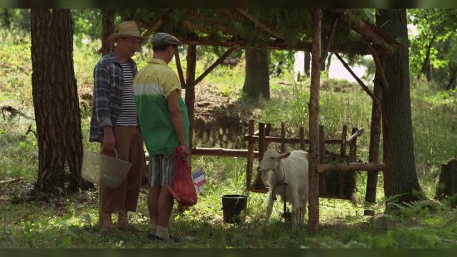 5 серия, 6 сезона, сериала Сваты (2008)