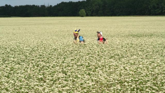 6 серия, 6 сезона, сериала Сваты (2008)