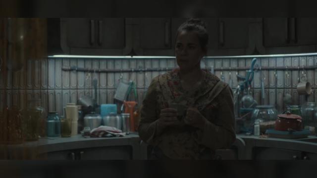 The Book of Quinn - 8 серия, 2 сезона, сериала Укрытие (2023)