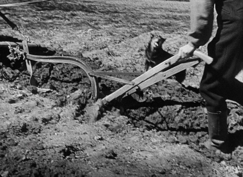 Фильм Дьявол и Дэниэл Уэбстер (1941)