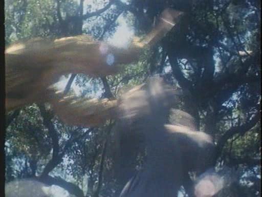 Фильм Охотник на ниндзя (1984)