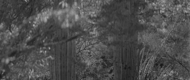 Фильм Гнев (1964)