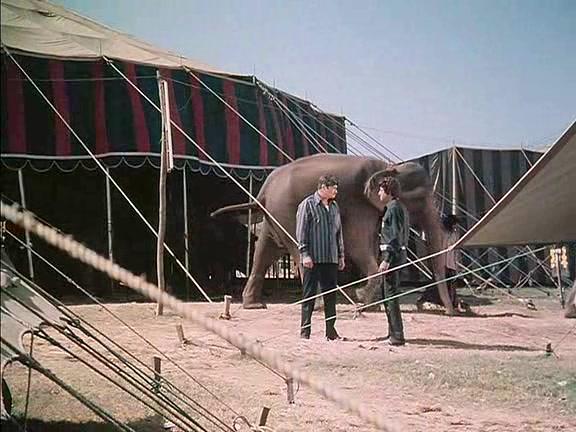 Фильм Главарь мафии (1978)