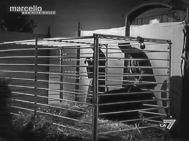 Фильм История пяти городов (1951)