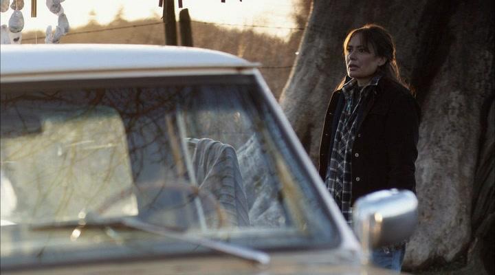 Фильм Долина Твистер (2009)