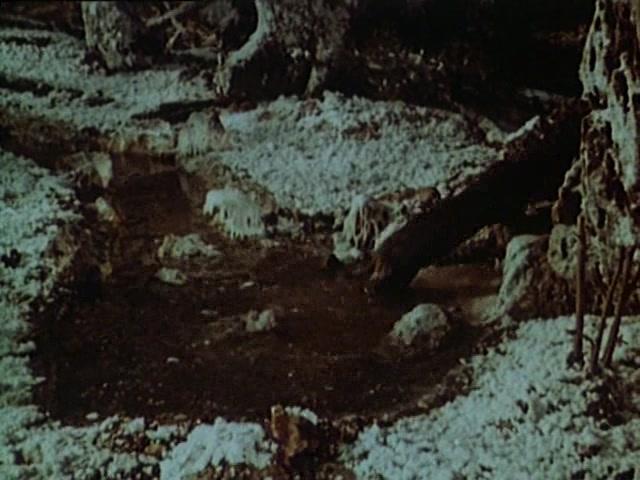 Фильм Выдра по имени Лутра (1986)