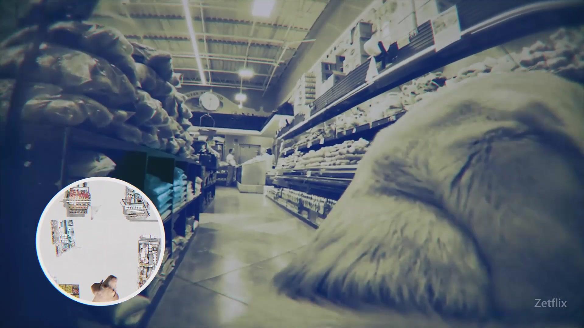 Фильм О чем думают собаки (2024)