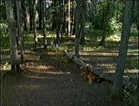 Фильм Атомный пес (1997)