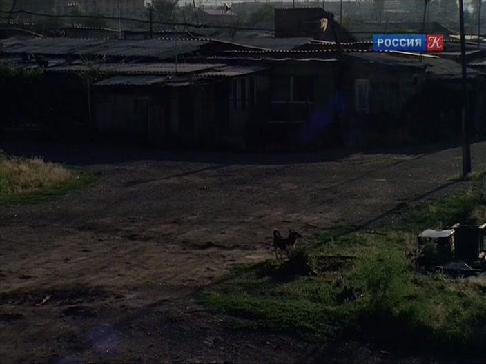 Фильм Возвращение поэта (2005)