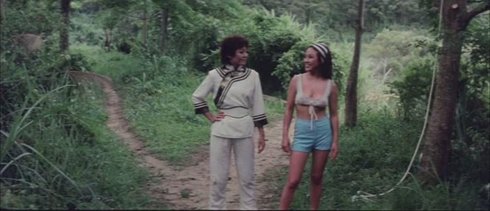 Фильм Задание леди-ниндзя (1983)