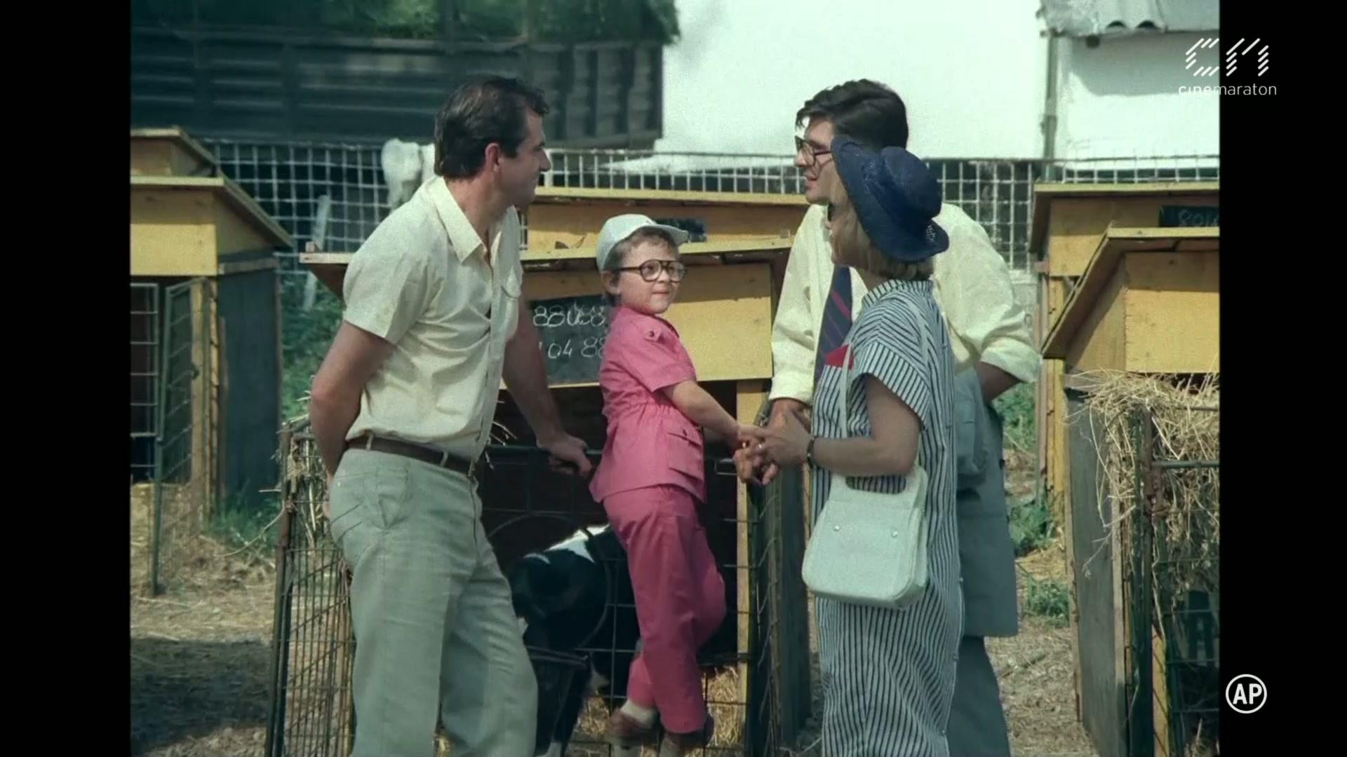 Фильм Почему лисий хвост? (1989)