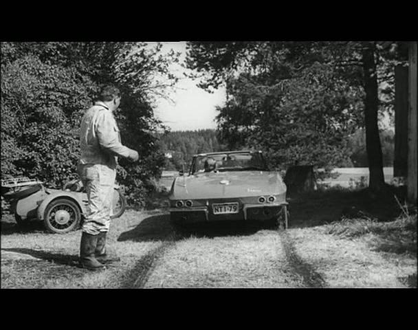 Фильм Юха (1999)
